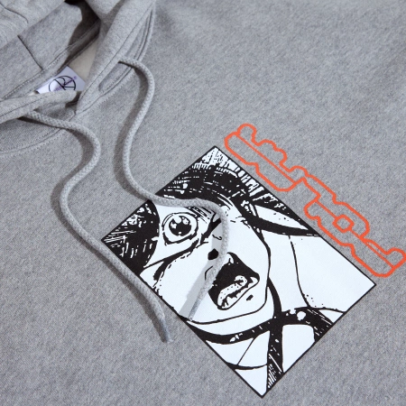 Bluza POLAR Dave Third Eye HD / Heather Grey @PSC-F25-44
